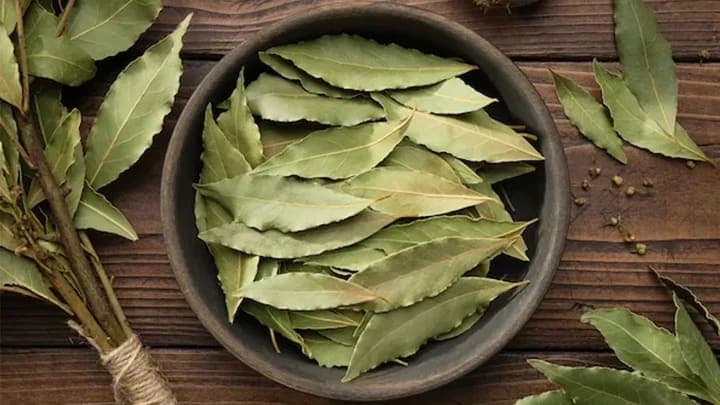 Bay Leaves — export-grade spice from India