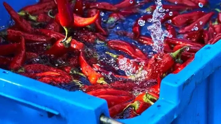 Cleaning — Yogiraj Spices manufacturing process