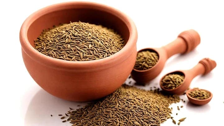 Dill Seeds — export-grade spice from India