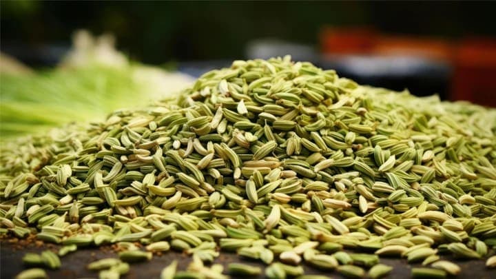 Fennel Seeds export product