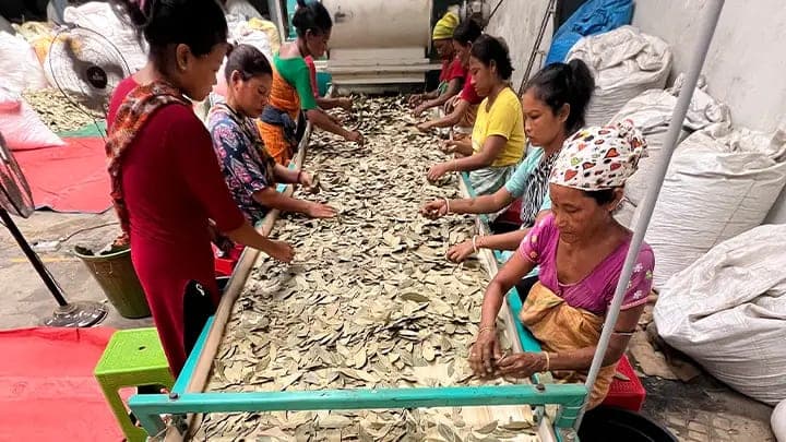 Sorting & Grading — Yogiraj Spices manufacturing process