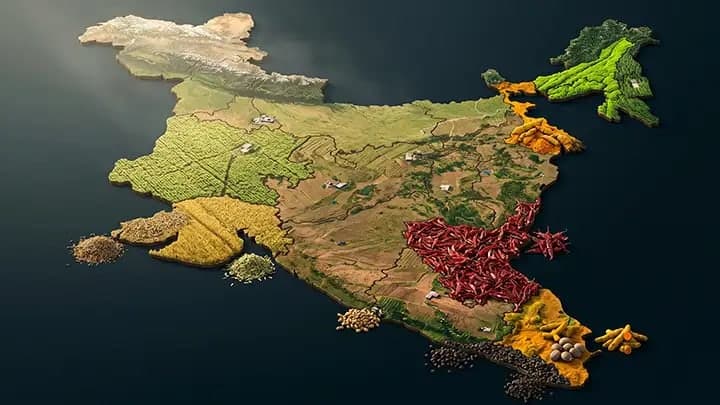 Indian spices representing India's global origin advantage