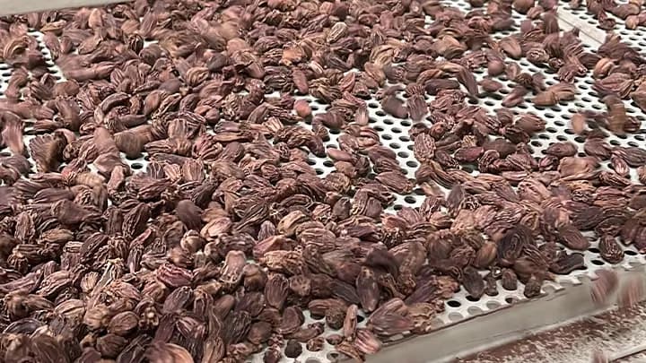 Quality Inspection — Yogiraj Spices manufacturing process