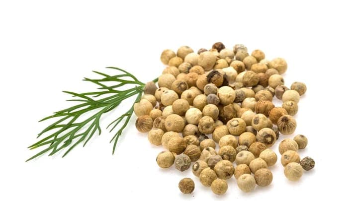 White Pepper — export-grade spice from India