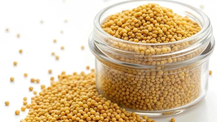 Yellow Mustard — export-grade spice from India